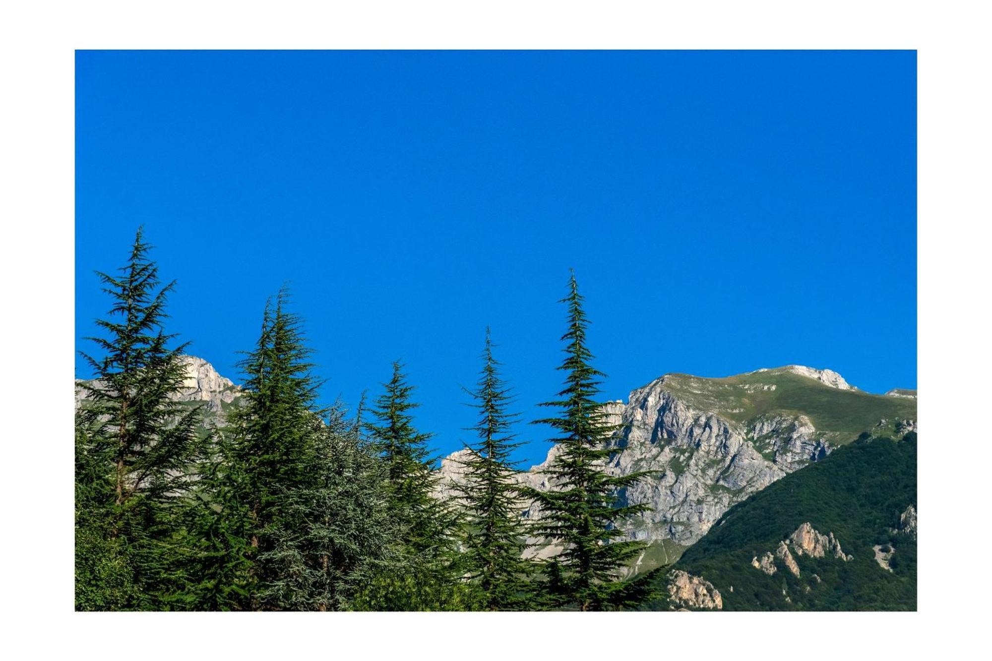 Chalet Bragard Limone Piemonte Luaran gambar
