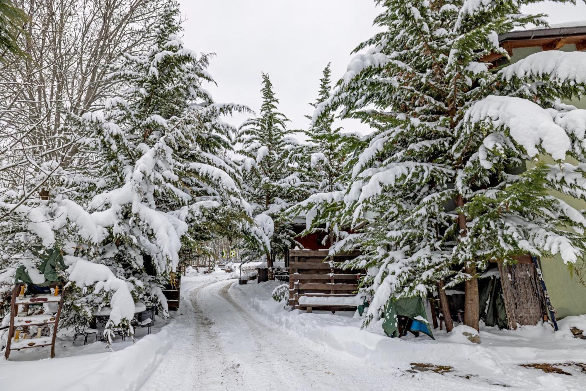 Chalet Bragard Limone Piemonte Luaran gambar